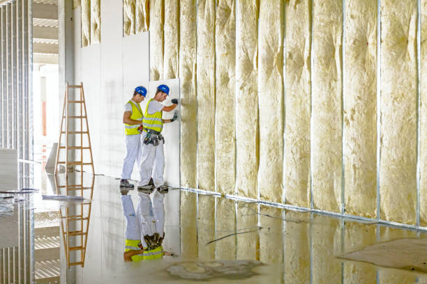 Best DIY Insulation Kits and Guidance in Hoosick Falls, NY